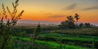 Summer Laurel Sunset - Digital Photography - By Terrie Galvin, Nature Photography Artist