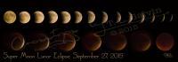 Of The Night - Super Moon Lunar Eclipse 2015 - Digital