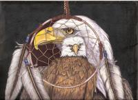 Eagle And Dream Catcher - Mixed Media Drawings - By Tony Smith, Native American Drawing Artist