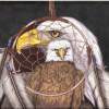 Eagle And Dream Catcher - Mixed Media Drawings - By Tony Smith, Native American Drawing Artist