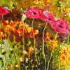 Wildflower Field - Oil On Canvas Paintings - By Helen Gallaway, Painterly Painting Artist