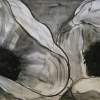 Charcoal Poppies 3 - Wet Charcoal Drawings - By Helen Gallaway, Contemporary Drawing Artist