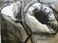 Charcoal Poppies 2 - Wet Charcoal Drawings - By Helen Gallaway, Contemporary Drawing Artist