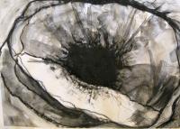 Charcoal Poppies 1 - Wet Charcoal Drawings - By Helen Gallaway, Contemporary Drawing Artist