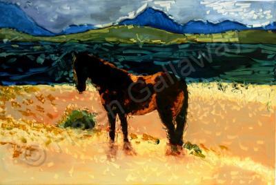 Animals - Horse In Mountain Pasture - Oil On Canvas