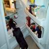 Trouble - Film Photography - By Elizabeth Vancamp, Realism Photography Artist
