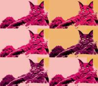 Irresistible - Digital Photography - By Julia Veytsner, Abstract Photography Artist