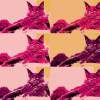 Irresistible - Digital Photography - By Julia Veytsner, Abstract Photography Artist