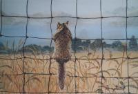 Wild Life - The Look Out - Oil On Canvas