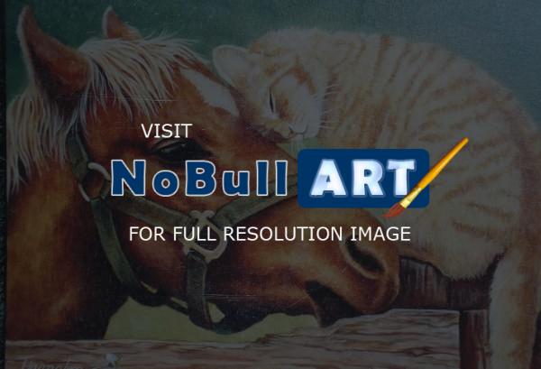 Wild Life - Horse - Acrylics On Canvas