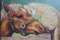 Horse - Acrylics On Canvas Paintings - By Tom Hampton, Original Painting Artist