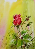 Rose 1 - Watercolor Paintings - By Sumit Datta, Expressive Realism Painting Artist