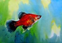 The Fish In Aquarium 1 - Watercolor Paintings - By Sumit Datta, Expressive Realism Painting Artist