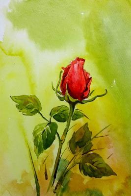 Rose Bud Paintings By Sumit Da - Rose Bud 1 - Watercolor