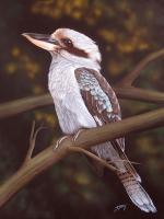 Blue Winged Kookaburra - Acrylics And Pigmented Ink Paintings - By Dallas Nyberg, Realism Painting Artist