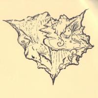 Ink - Hispaniola - Pen And Ink