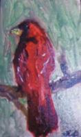 Cardinal - Oil Paintings - By Linda Drobatz, Impressionism Painting Artist