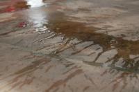 Splash - Photo Photography - By Linda Drobatz, Realism Photography Artist