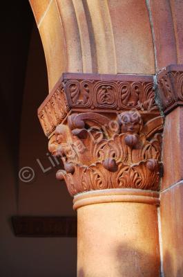 Photography - Chico Arches - Photo