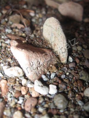 Photography - Rocks Of Almanor - Photo