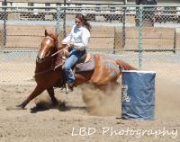 Untitled - Photo Photography - By Linda Drobatz, Realism Photography Artist