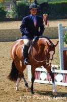 Photography - Under Saddle - Photo