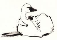 Ink Goose - Ink Drawings - By Samuel Zylstra, Calligraphy Drawing Artist