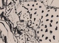 Cheetah 1 - Ink Drawings - By Samuel Zylstra, Calligraphy Drawing Artist