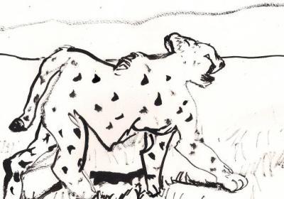 Wildlife - Cheetah 3 - Ink