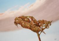 Dead Leaf - Oil On Wood Paintings - By Uko Post, Realistic Painting Artist