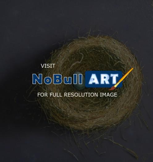 Vanitas - Left Nest - Oil On Wood