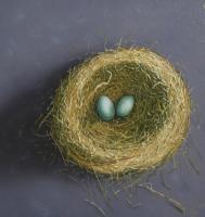 Left Nest - Oil On Wood Paintings - By Uko Post, Realistic Painting Artist