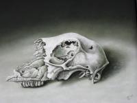 Vanitas - Brooken Sheepcrane - Oil On Wood