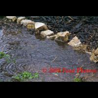 Water And Black - Digital Photograph Luster Prin Photography - By Josh Mcgrath, Nature Photography Artist