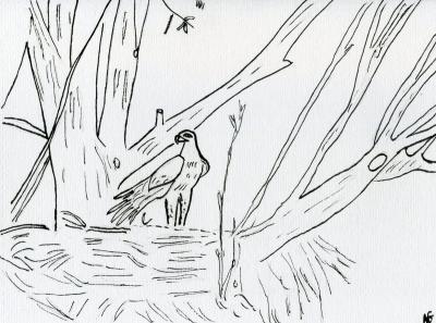 Early Works - Nam - Eagle In Nest - Black Ink