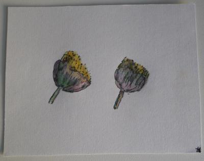 Early Work - Sau - Fig Blossums - Pastels