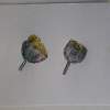 Fig Blossums - Pastels Paintings - By Ann-Claire Herrmann, Free Sketch Painting Artist