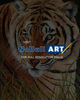 Wildlife - Focused - Acrylic