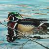 Woody - Acrylic Paintings - By Bob Child, Realism Painting Artist