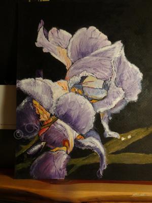 Still Life - Purple Beauty - Oil