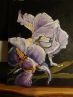 Still Life - Purple Beauty - Oil