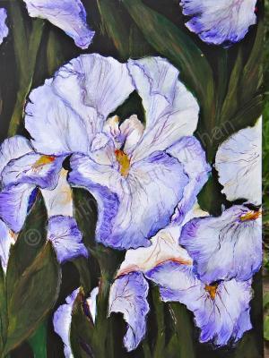 Still Life - Iris Awakening - Acrylic