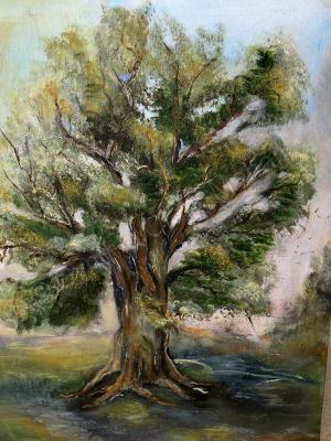 Landscape - The Oak - Oil