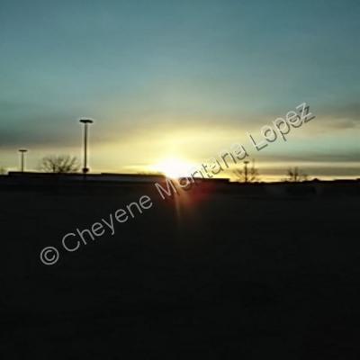 Cheyene M Lopez Photography - Golds Sunlight - Nature