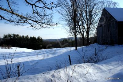 Scenic Shots - Winter Scene - Sony A200 Dslr