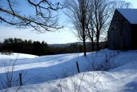 Winter Scene - Sony A200 Dslr Photography - By Lois Lepisto, Natureweather Photography Artist