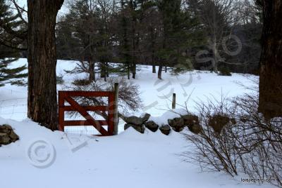 Scenic Shots - Red Gate In Winter - Sony A200 Dslr