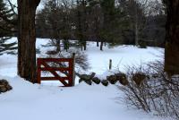 Scenic Shots - Red Gate In Winter - Sony A200 Dslr