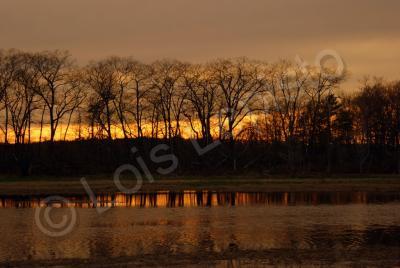 Scenic Shots - Early Spring Sunset - Sony A200 Dslr