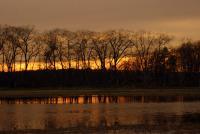Early Spring Sunset - Sony A200 Dslr Photography - By Lois Lepisto, Natureweather Photography Artist
